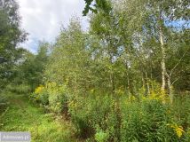 Działka budowlana Lipków, ul. Ignacego Mościckiego. Zdjęcie 1