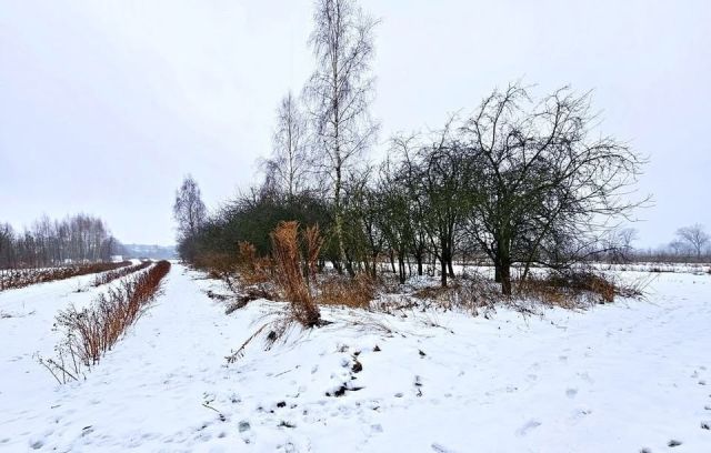 Działka rolno-budowlana Karczmiska Pierwsze, ul. Starowiejska. Zdjęcie 9