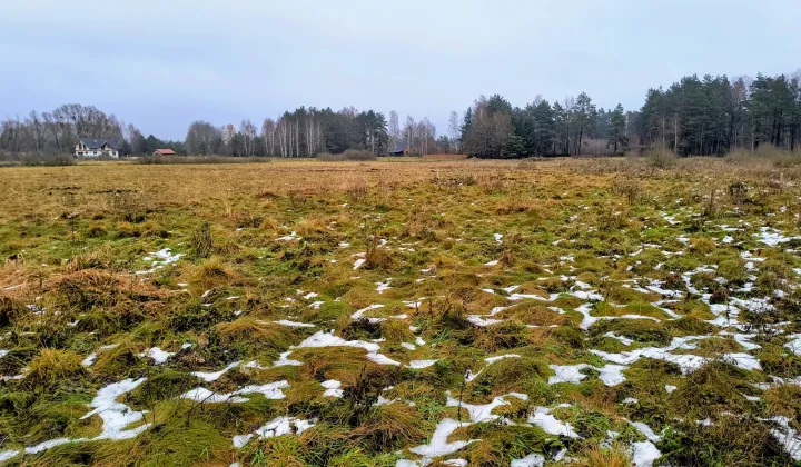 Działka rolna Karwik