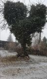 dom wolnostojący, 4 pokoje Jemiołowo, Jemiołowo. Zdjęcie 4