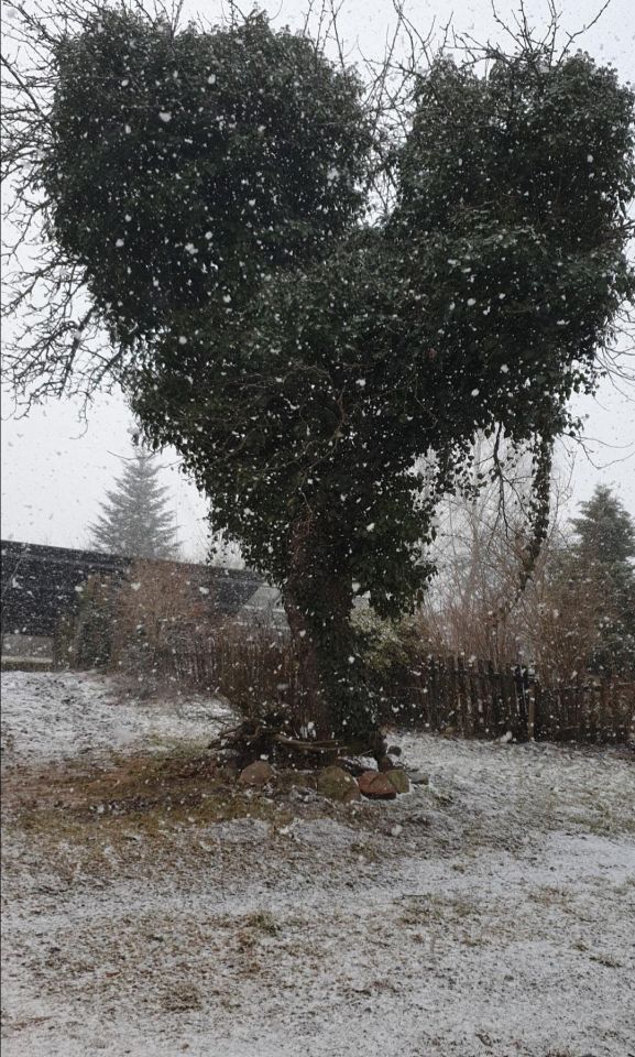 dom wolnostojący, 4 pokoje Jemiołowo, Jemiołowo. Zdjęcie 5