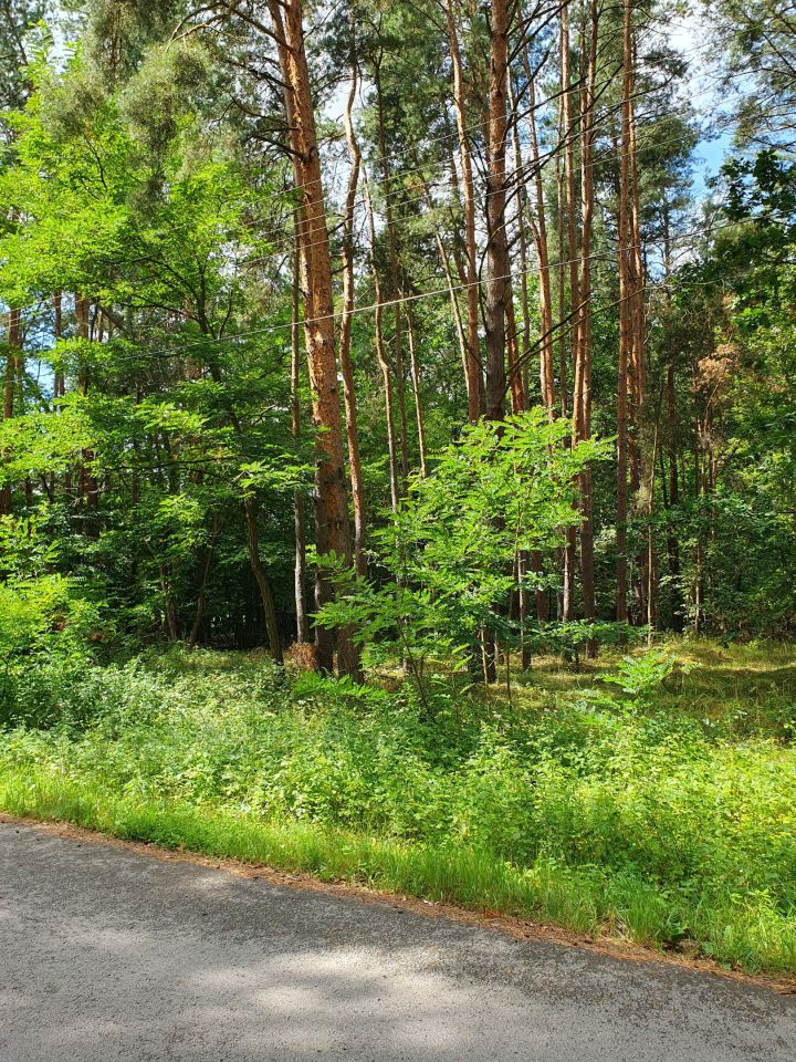 Działka rolno-budowlana Zosin. Zdjęcie 11