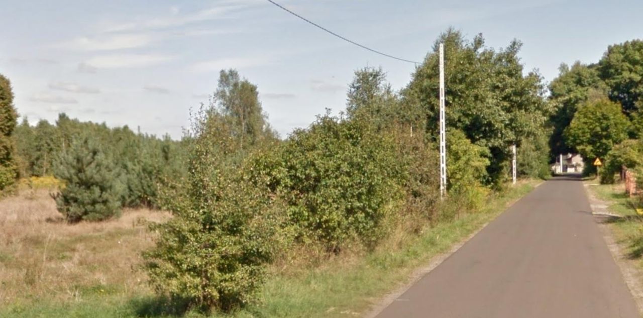 Działka rolna Grzmiąca. Zdjęcie 5