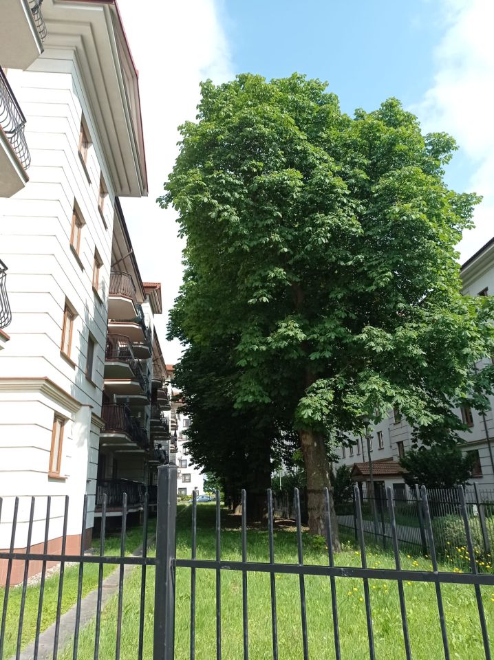 Mieszkanie 4-pokojowe Lublin Rury, ul. Nadbystrzycka