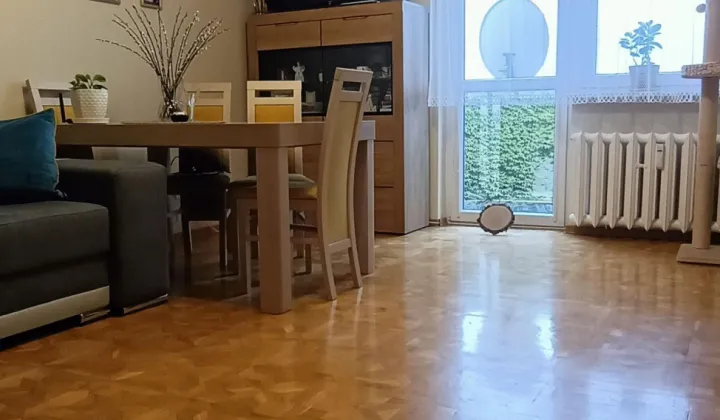 Mieszkanie 2-pokojowe Polkowice, ul. Stanisława Moniuszki