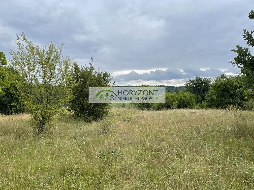 Działka Nowa Wieś Przywidzka. Zdjęcie 10