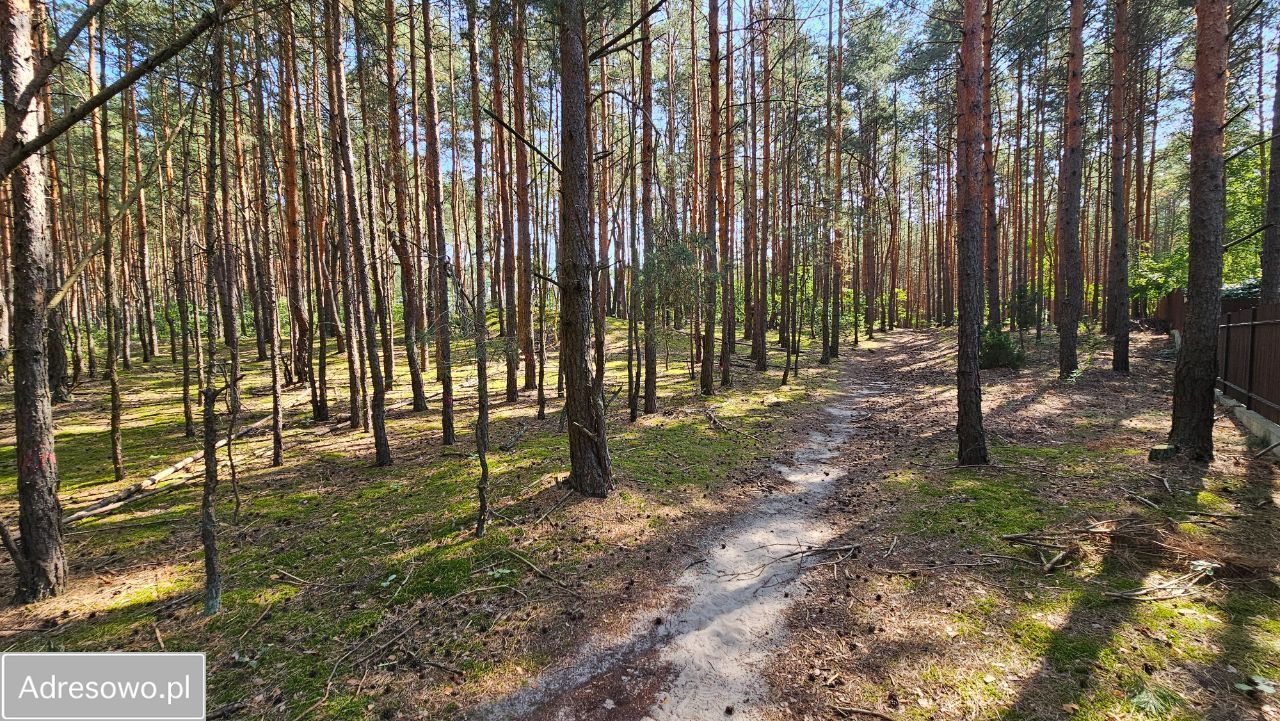 Działka budowlana Hornówek, ul. Jeżynowa. Zdjęcie 14
