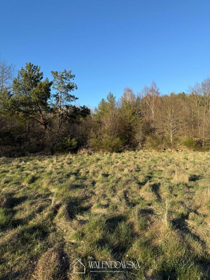 Działka rolna Gardna Wielka. Zdjęcie 6