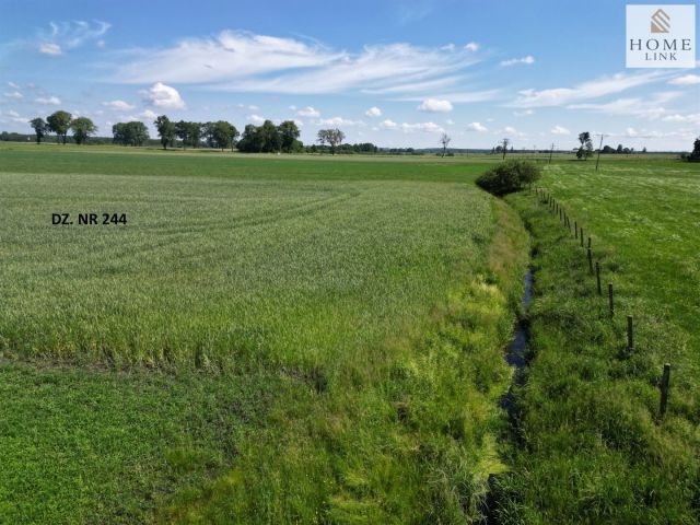 Działka siedliskowa Stębark. Zdjęcie 11