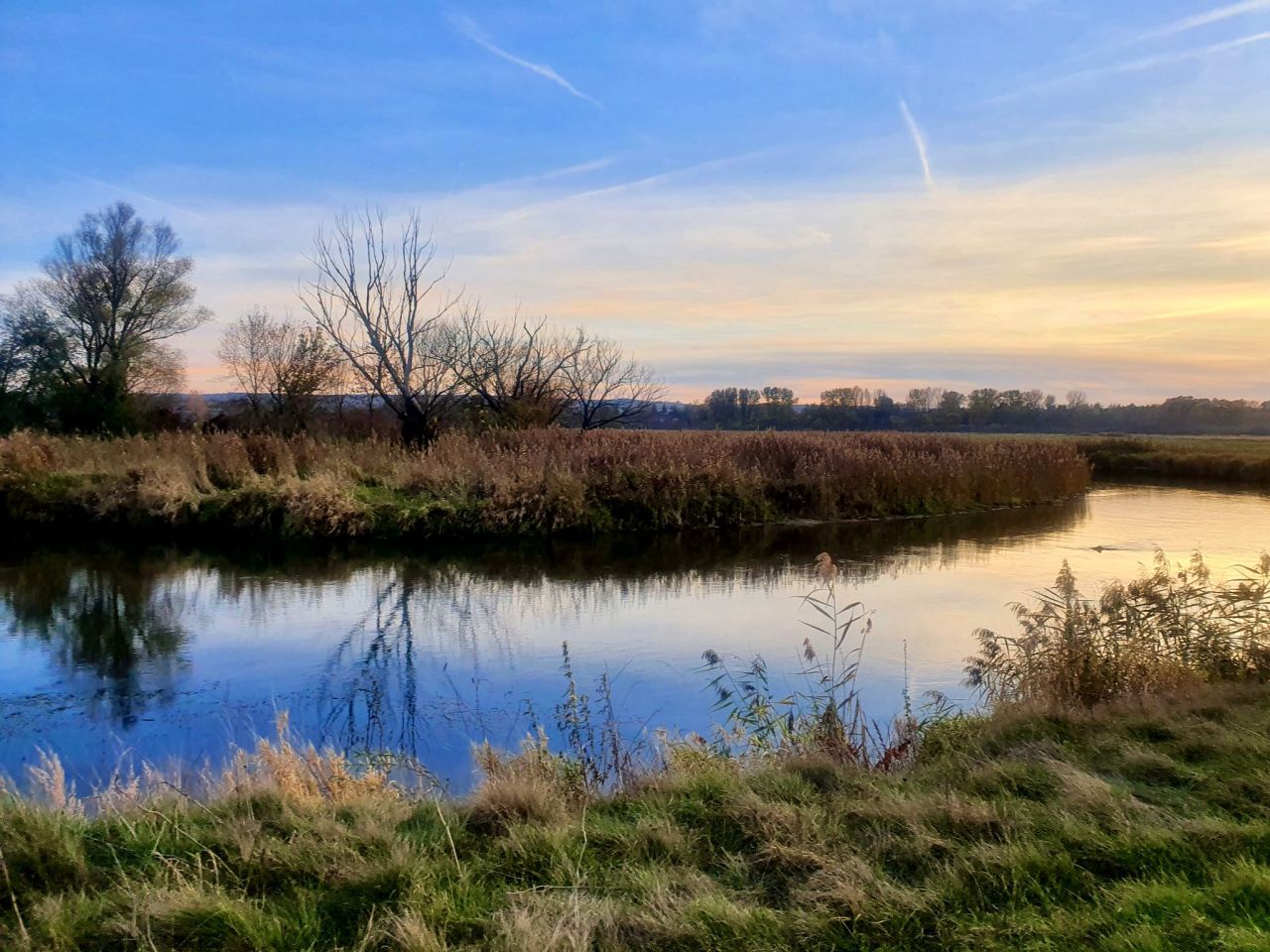 Działka budowlana Wojsławice. Zdjęcie 12