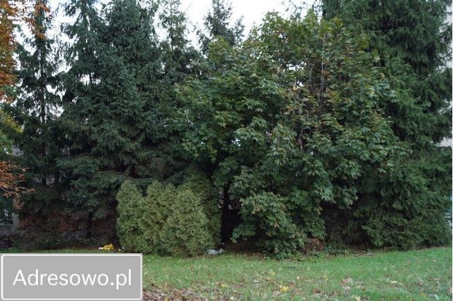 Działka budowlana Sulechów. Zdjęcie 3