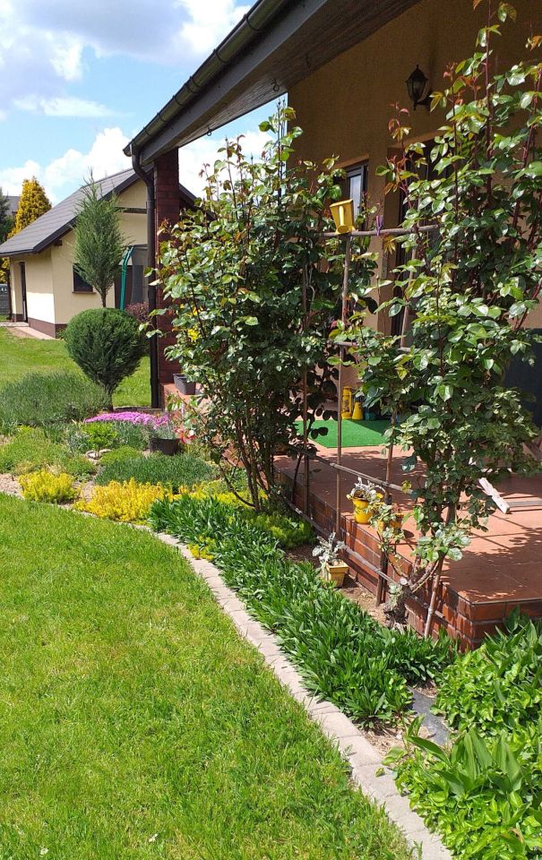 dom wolnostojący, 6 pokoi Mianowice. Zdjęcie 4