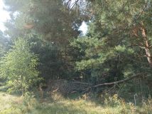 Działka budowlana Bilska Wola Karolinów. Zdjęcie 2