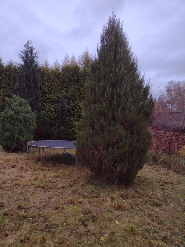 Mieszkanie 3-pokojowe Karzniczka. Zdjęcie 12