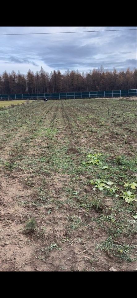 Działka rolno-budowlana Kalinówka. Zdjęcie 7