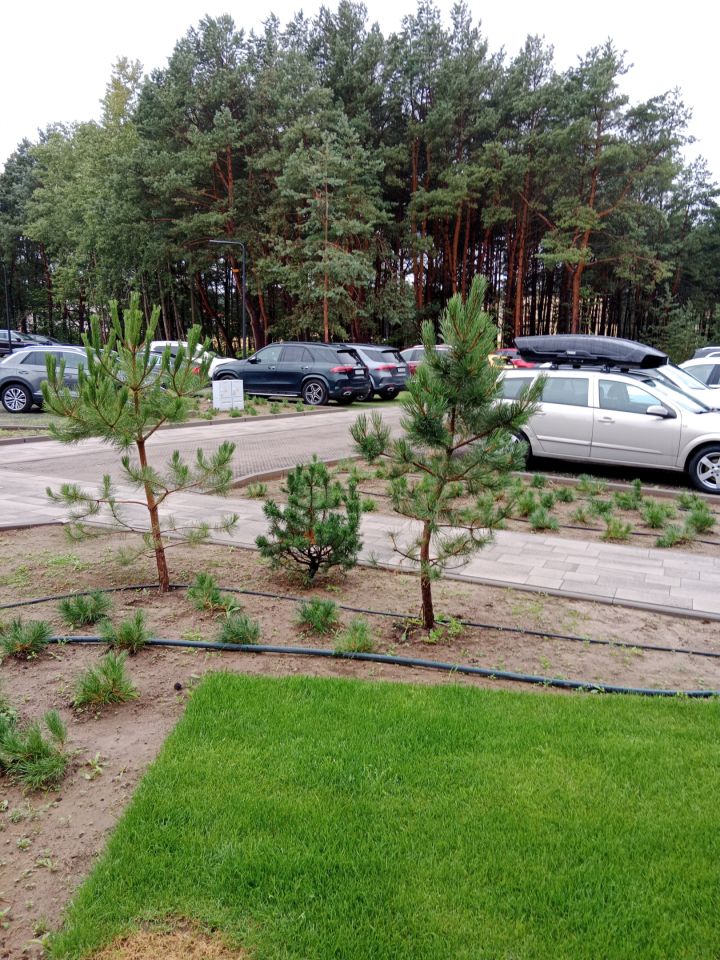 Hotel/pensjonat Łeba Rąbka, ul. Nadmorska. Zdjęcie 22