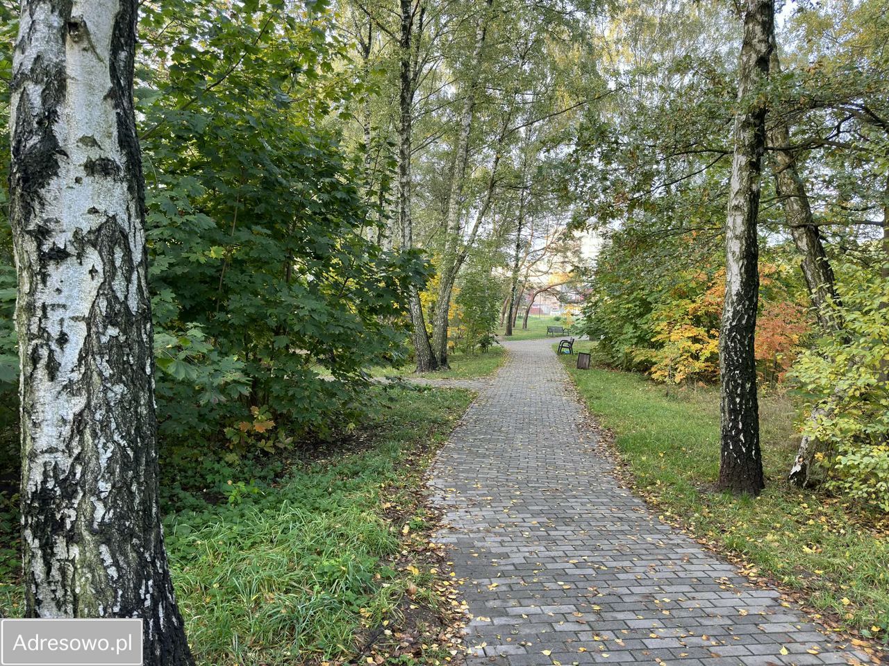 Mieszkanie 3-pokojowe Łódź Widzew, ul. Piotra Czajkowskiego. Zdjęcie 6