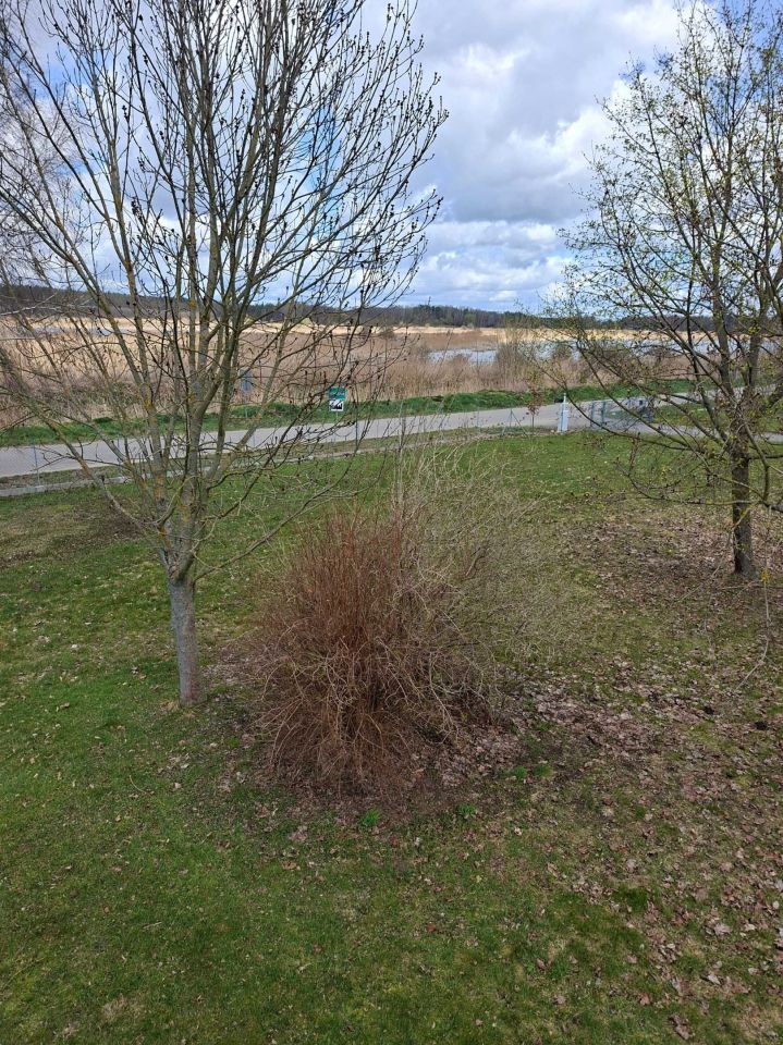 Działka budowlana Gołębiówka. Zdjęcie 5