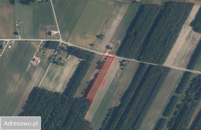 Działka rolno-budowlana Wólka. Zdjęcie 1