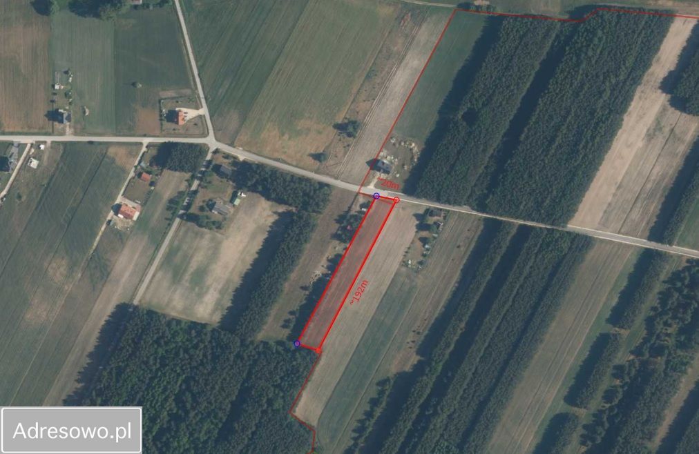 Działka rolno-budowlana Wólka. Zdjęcie 1