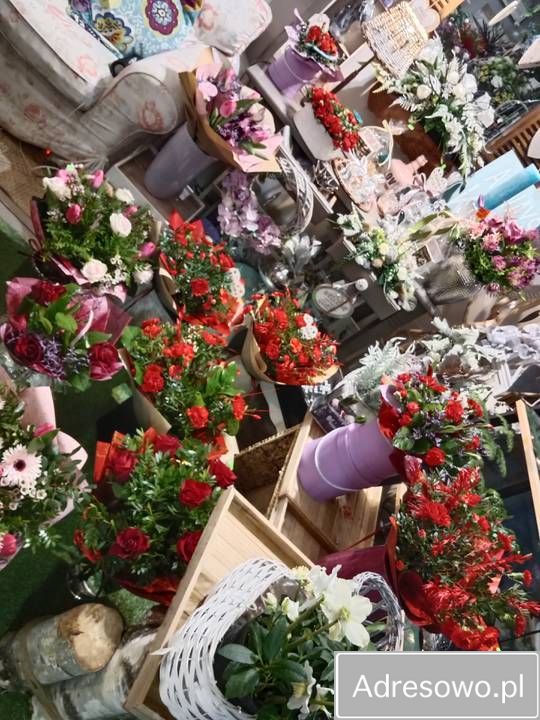 Lokal Wrocław Gaj. Zdjęcie 2