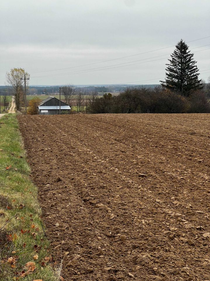 gospodarstwo Harasimowicze. Zdjęcie 7