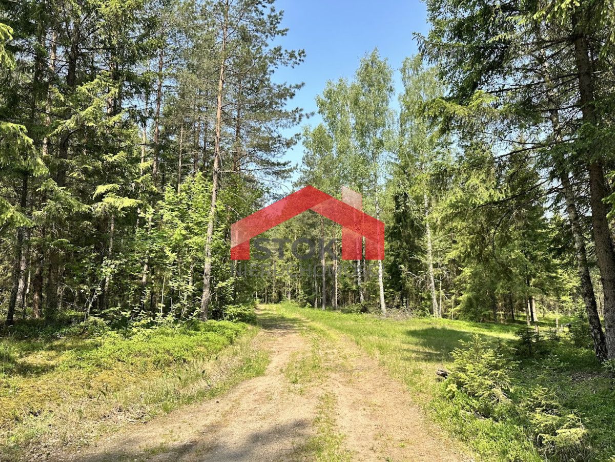 Działka leśna Rudnica. Zdjęcie 9