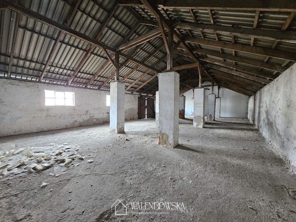 Hala/magazyn Staniewice. Zdjęcie 12
