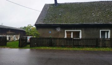 bliźniak Trzebielino, Trzebielino