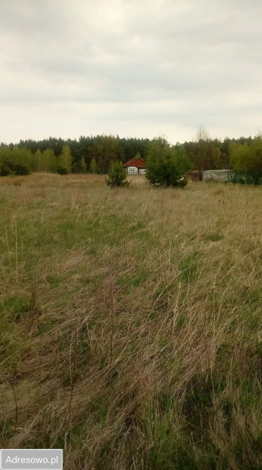 Działka budowlana Anielin Kępa. Zdjęcie 5