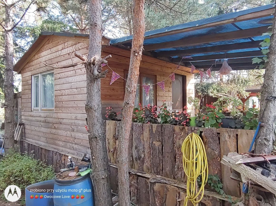 Działka rod Toruń Rudak