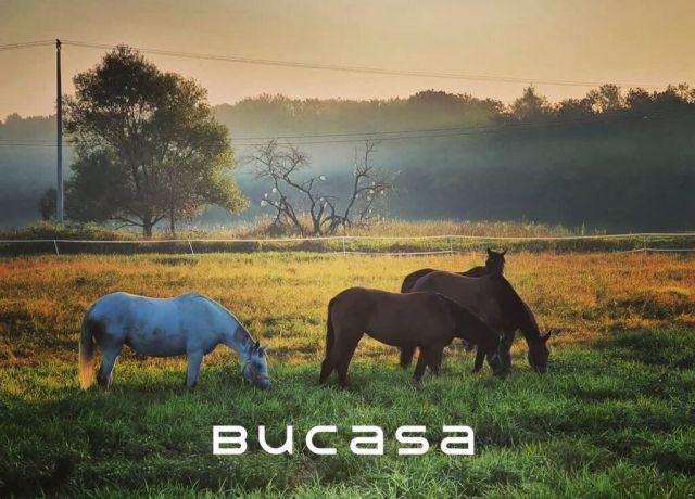 Lokal Zabierzów Bocheński. Zdjęcie 9