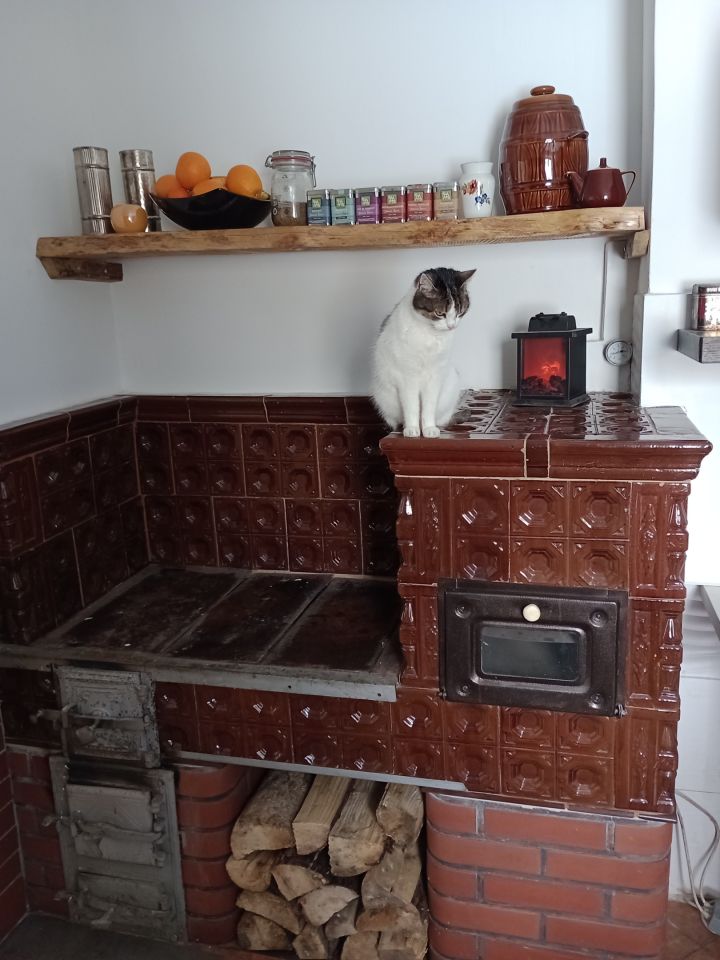 dom wolnostojący, 8 pokoi Radostów Średni, Radostów Średni. Zdjęcie 18