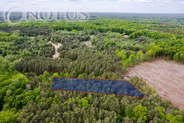 Działka budowlana Radziejowice, ul. Do Lasu. Zdjęcie 2