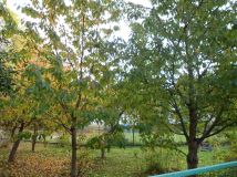 dom wolnostojący, 2 pokoje Kozłowo. Zdjęcie 1