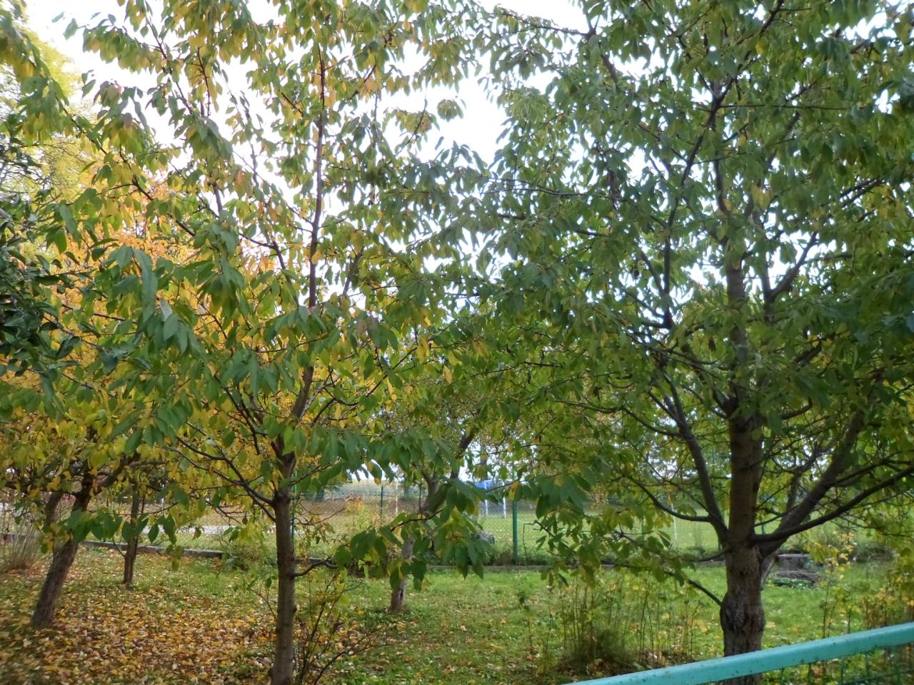 dom wolnostojący, 2 pokoje Kozłowo. Zdjęcie 2