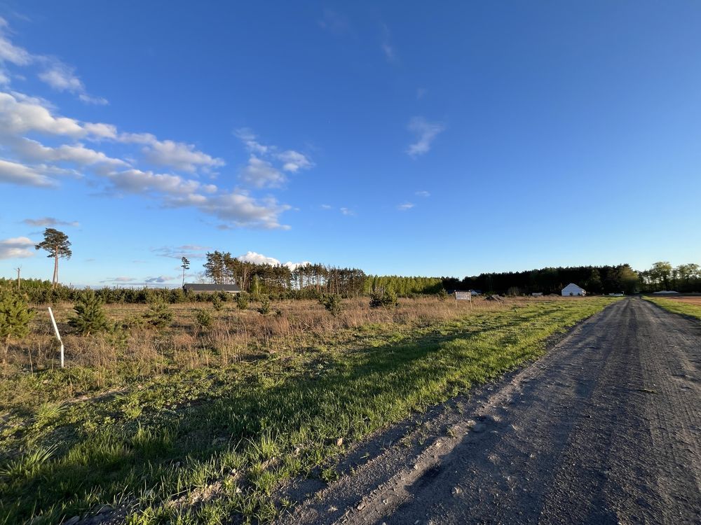 Działka budowlana Wilcze. Zdjęcie 3