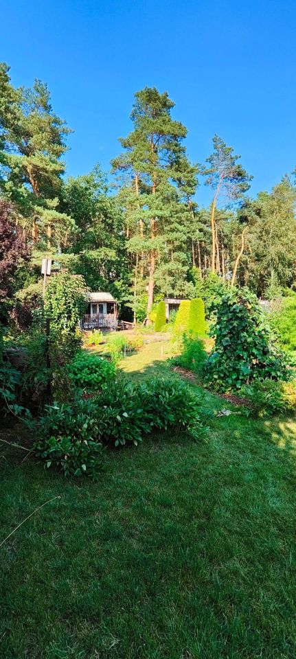 Działka rod Toruń. Zdjęcie 4