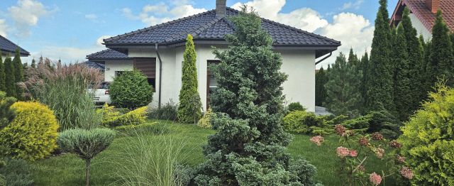 dom wolnostojący, 4 pokoje Ślesin. Zdjęcie 1