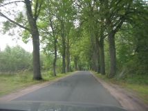 Działka siedliskowa Kikity. Zdjęcie 2