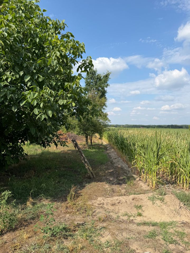 gospodarstwo Łazów. Zdjęcie 6