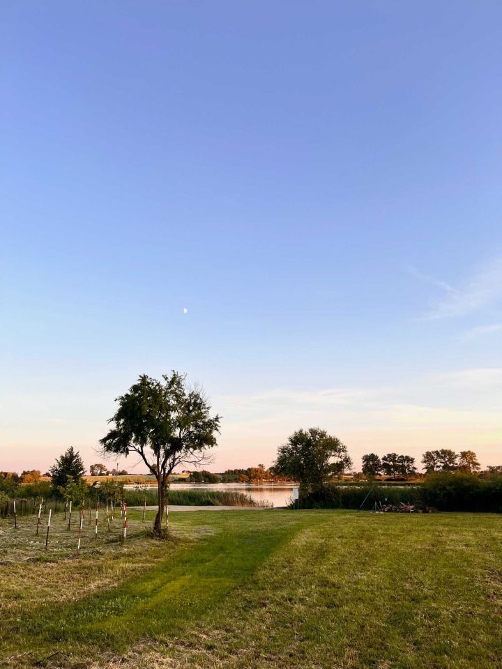 Działka budowlana Pluskowęsy. Zdjęcie 6