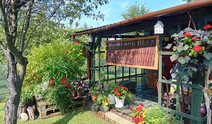 Działka rod Rzeszów Nowe Miasto, ul. Ignacego Paderewskiego