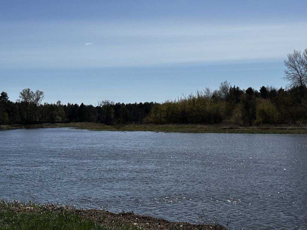 Działka rekreacyjna Dzbądzek. Zdjęcie 14
