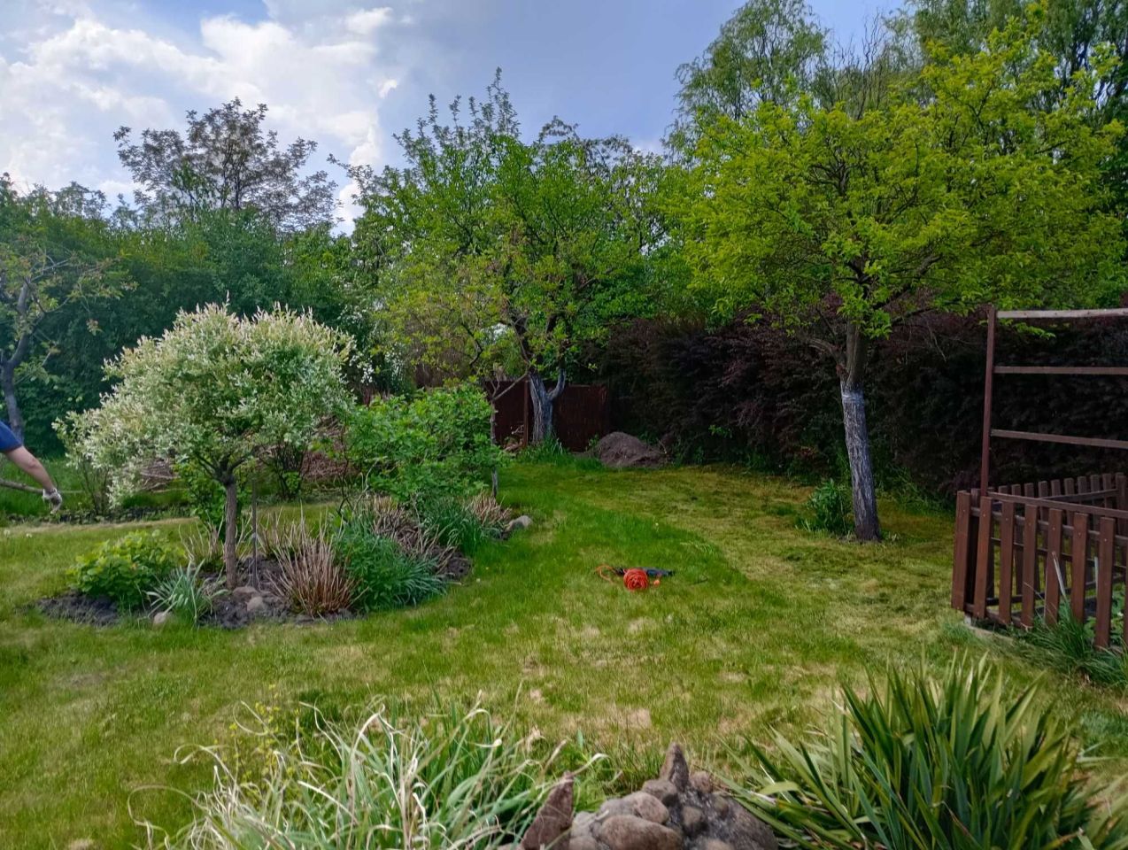 Działka rod Gdańsk Olszynka, ul. Modra. Zdjęcie 6