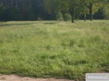 Działka rolna Raszków. Zdjęcie 1