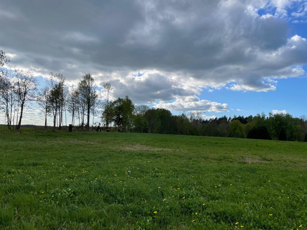 Działka rolno-budowlana Guja. Zdjęcie 3