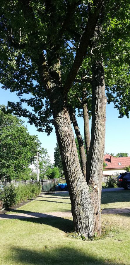 dworek, 5 pokoi Warszawa Wawer, ul. Izbicka. Zdjęcie 14