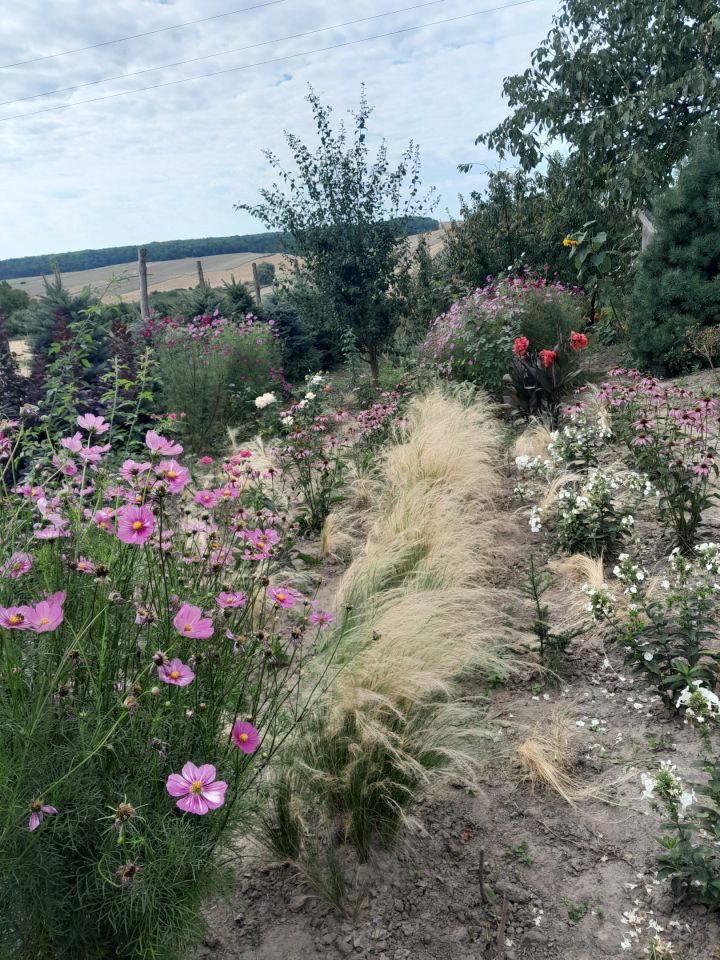 dom wolnostojący, 5 pokoi Grabowiec-Góra. Zdjęcie 17