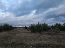 Działka rolna Brok, ul. Przychód. Zdjęcie 2